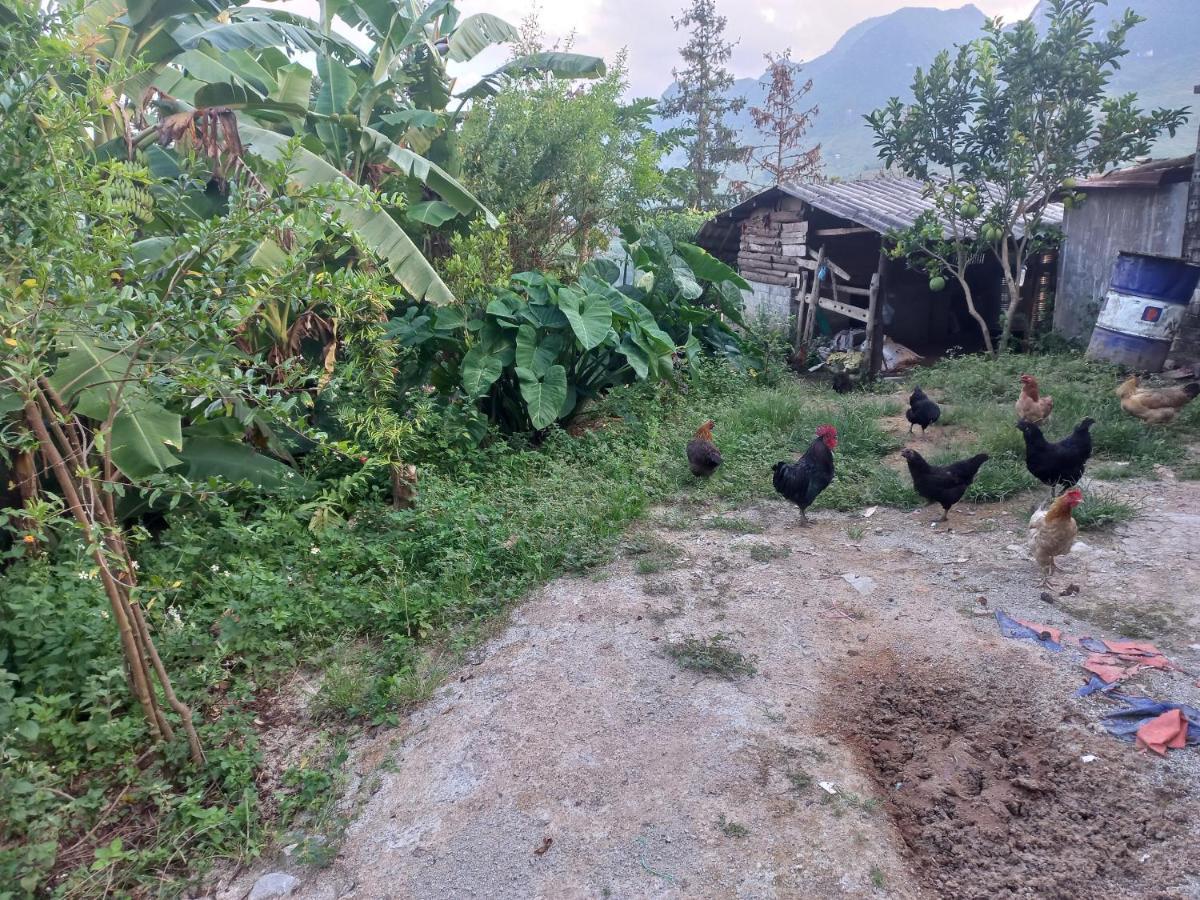 Homestay Hoang Vu Ha Giang Exterior foto